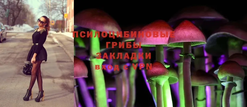 Галлюциногенные грибы Cubensis  МЕГА tor  Белинский 